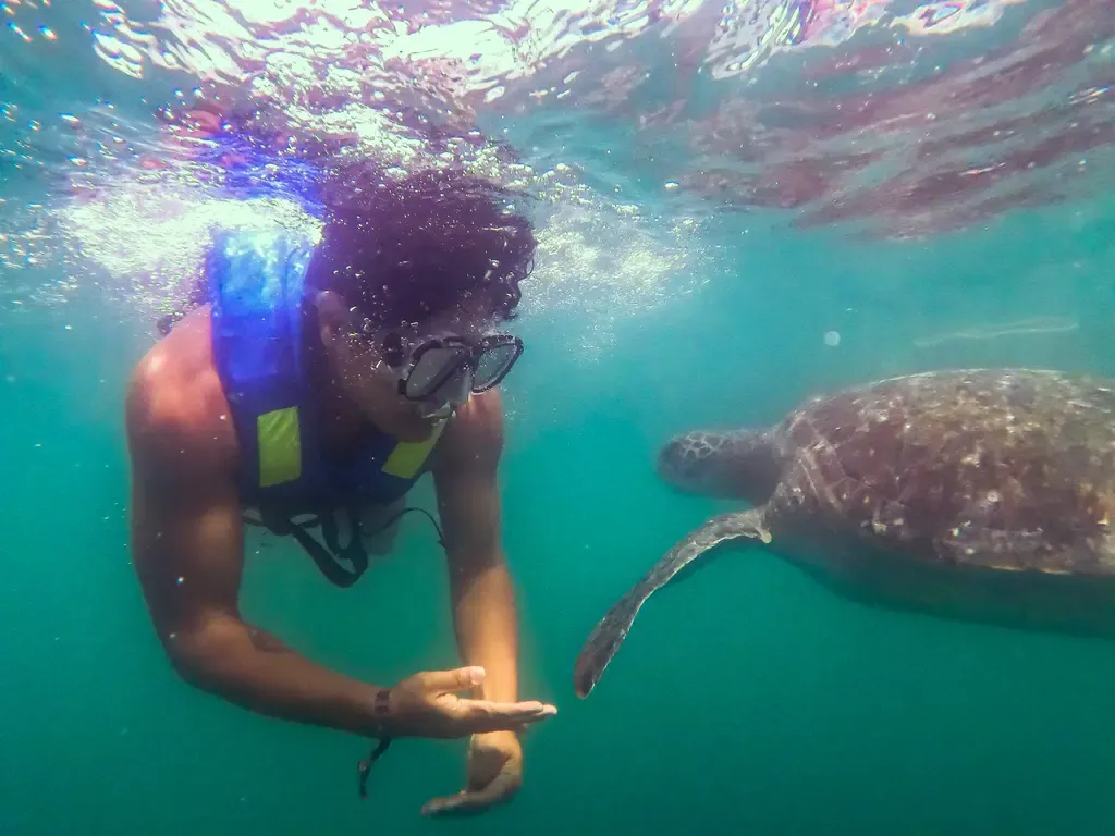Carlos Coloma buceando junto a una tortuga marina